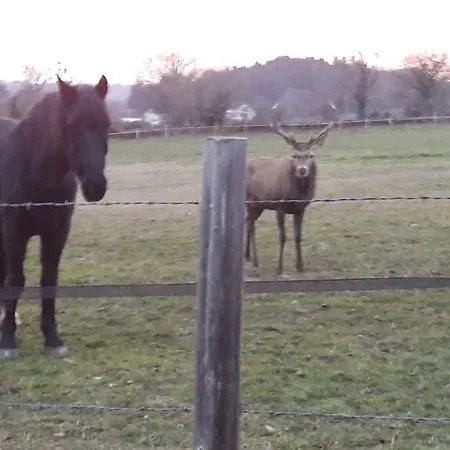 Clos Charmille Meaulne